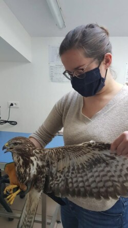 Photo d'une buse variable en cours de diagnostic